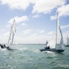 Star Class 846 and 8402 sailing at the Bacardi Cup, Bacardi Miami Sailing Week, day three.